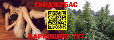 PSILOCYBIN Кунгур