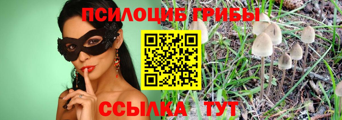 Псилоцибиновые грибы мицелий Ефремов